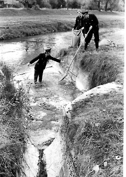 19731023 Hilfeleistung Öl in der Leine