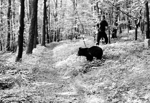 19740824 Bärenjagd Zoo Linne