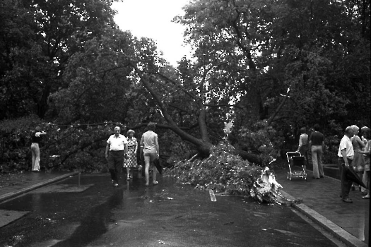 19760719 Unwetter Göttingen 2