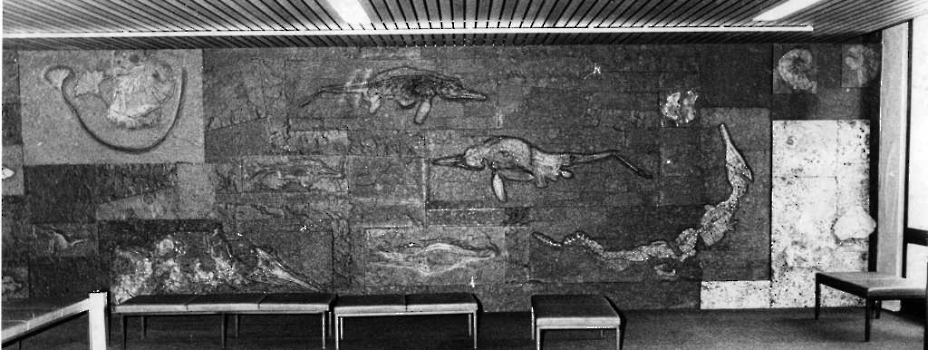 19770224 Fossilien Uni Geologie