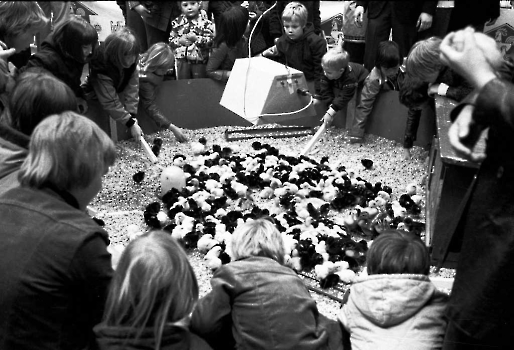 19770424 14. Nds. Kükenschau