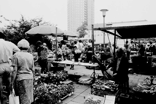 19810813 Wochenmarkt Rathaus 2