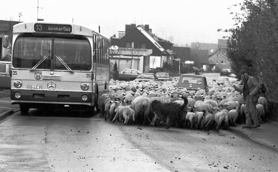 GÖTTINGEN FOTOS VON 1980 - 1984