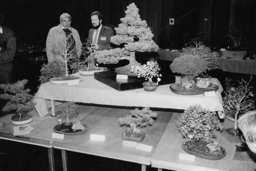 19841203 Bonsai Ausstellung, Stadthalle