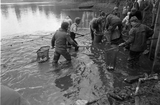 19851023 Kiessee Fischsterben 6