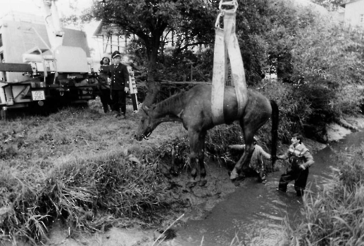 19860829 BF Pferderettung Gartemühle