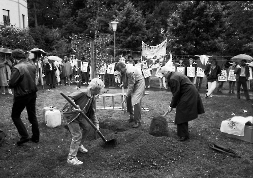 19870810 43. Jahrestag, Nagasaki, Ginkgobaum