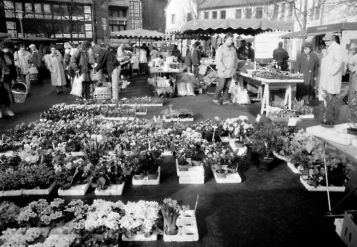 19900303 Wochenmarkt, Hospitalstraße 2