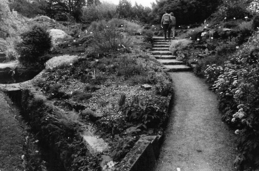 19910628 Botanischer Garten