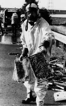 19910729 Unfall Bienen BAB 3