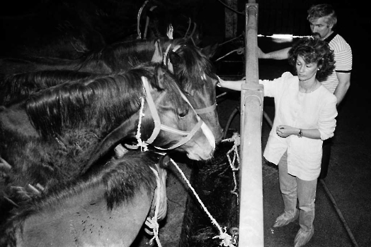19930422 Hiltrud Schröder rettet Pferde