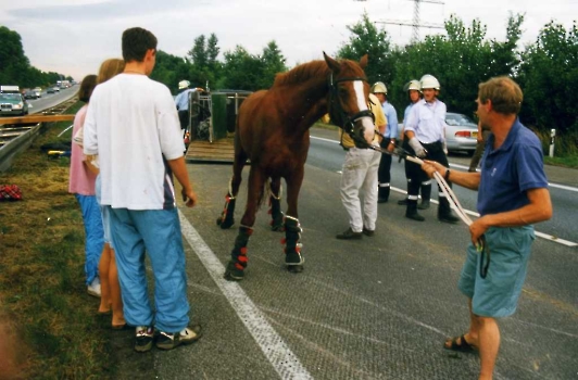 19950728 BAB Pferderettung 2