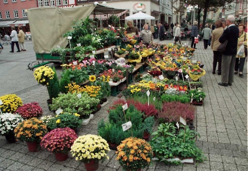 19980922 Blumen, Marktplatz