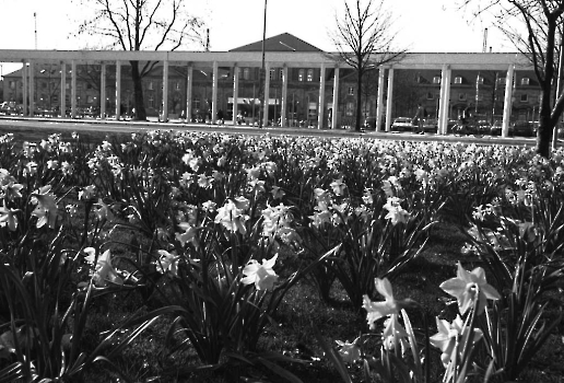 19990406 Blumen Bahnhof