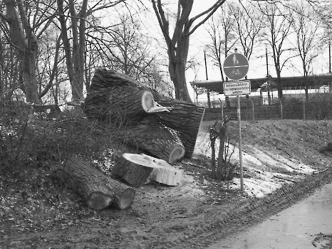 20020223 Sandweg Leine